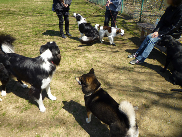 P1090329.jpg