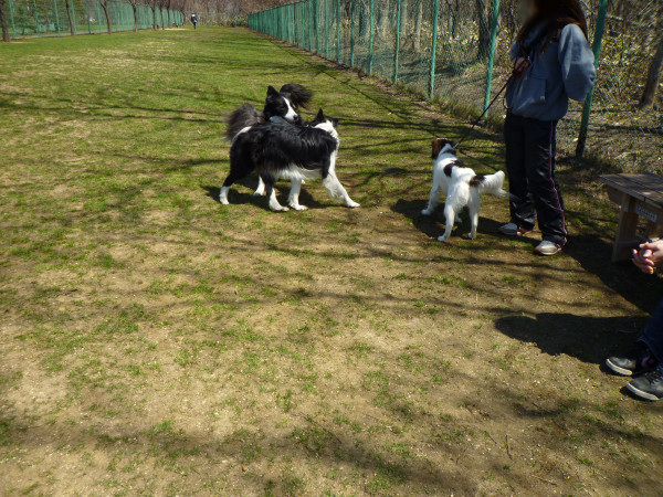 P1090330.jpg