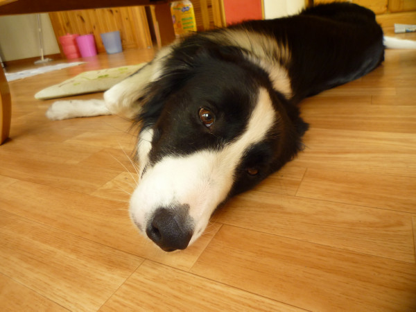P1090420.jpg