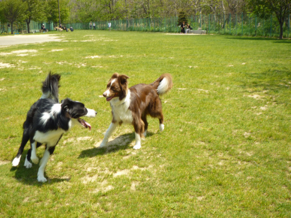 P1090442.jpg