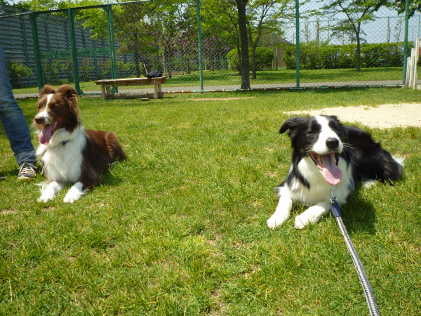 P1090444.jpg