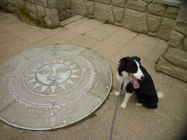 P1090557.jpg