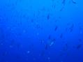 ・玲怦・難シ先律繧「繧オ繧ー繝ェ+005_convert_20120730192010