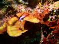 ・俶怦・呎律蜊苓カ雁燕繧ォ繝。繝ゥ隰帷ソ・022_convert_20120810092700