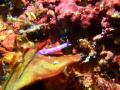 ・俶怦・呎律蜊苓カ雁燕繧ォ繝。繝ゥ隰帷ソ・025_convert_20120810092937