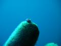 ・俶怦・抵シ捺律繧ォ繝。繝ゥ隰帷ソ・062_convert_20120823162849