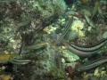 ・呎怦・托シ第律髟キ鬆域オ・050_convert_20120911172951