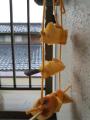 DSC_0294_convert_20121111170437.jpg
