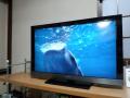 DSC_0382_convert_20130115085839.jpg