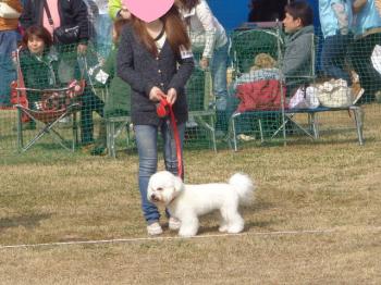 DSC00875_convert_20130316224402.jpg