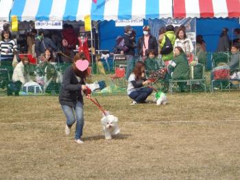 DSC00878_convert_20130316224447.jpg