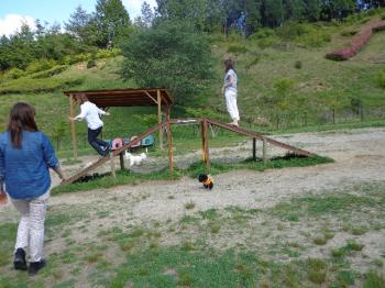 DSC01004_convert_20130604002107.jpg