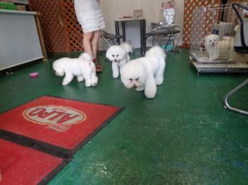 DSC01033_convert_20130610013342.jpg