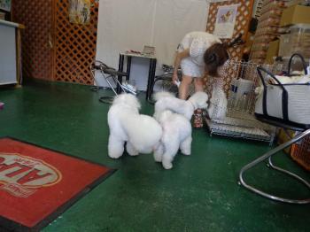 DSC01035_convert_20130610013359.jpg