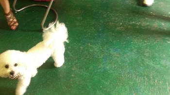DSC_0082_convert_20130610011303.jpg