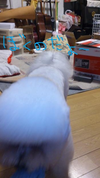 DSC_0087_convert_20130610013125.jpg