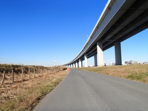S-1PC300038.jpg