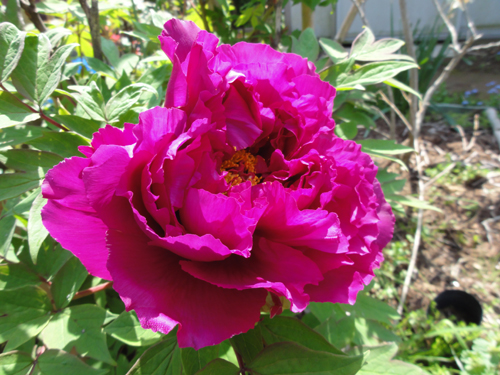 120429-02.jpg