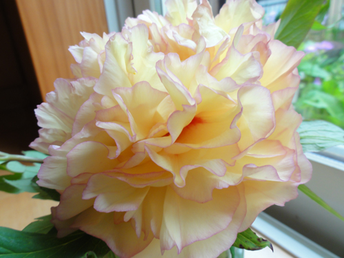 120513-01.jpg