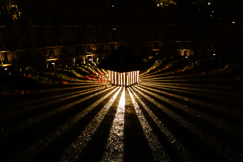 1212-k1-24.jpg