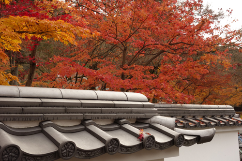 1212-k2-31.jpg