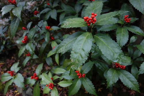 1212-k2-36.jpg