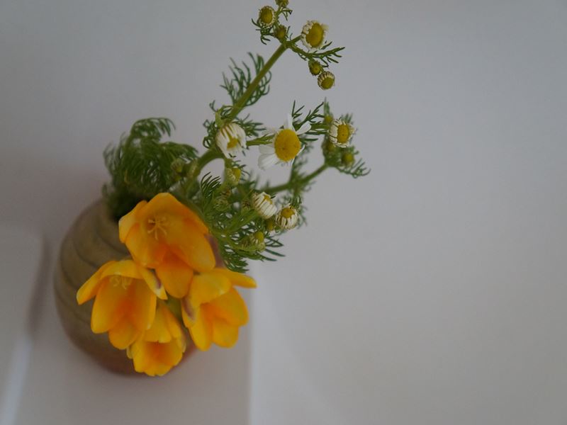 洗面所にも花