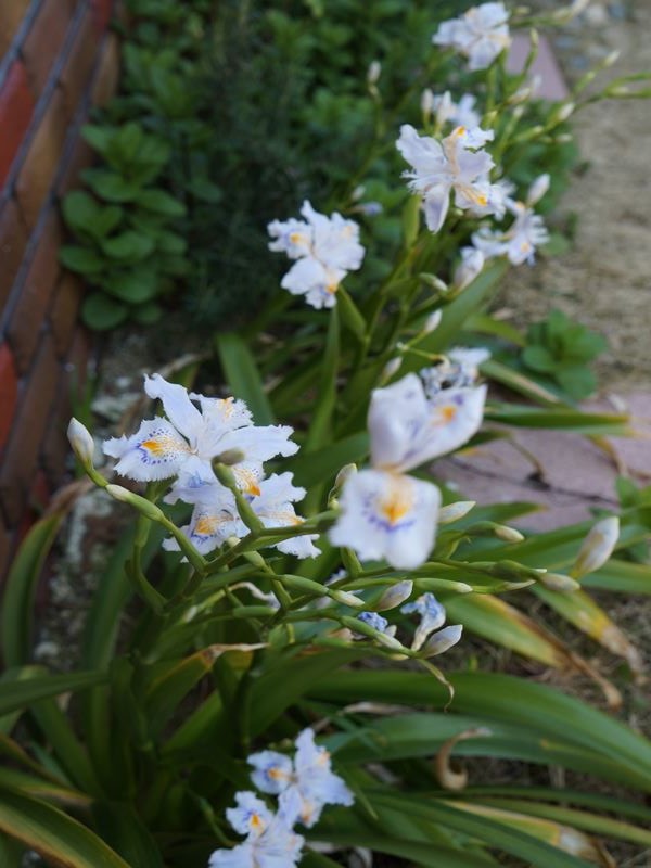 DSC00256_R2.jpg