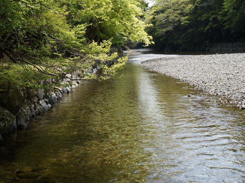 DSC00472_R.jpg