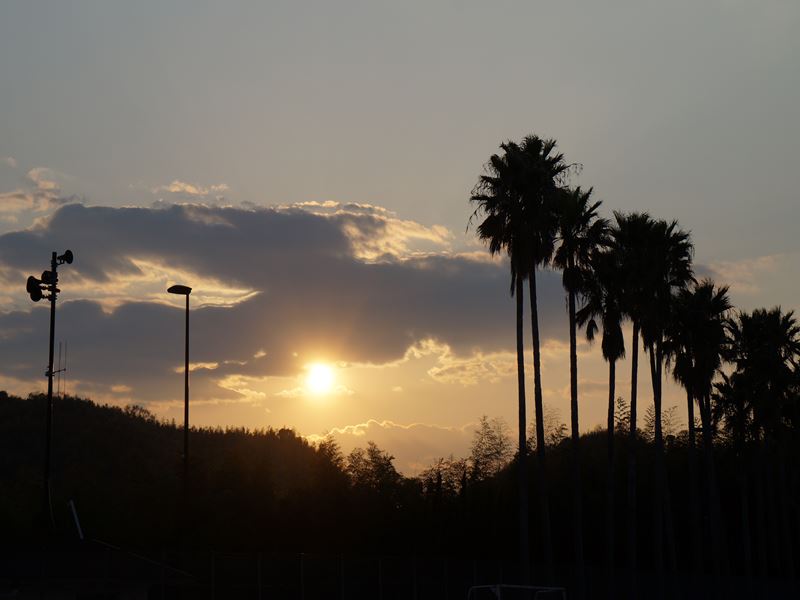夕日