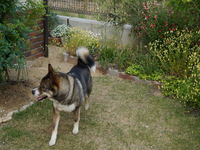 DSC00919_R.jpg
