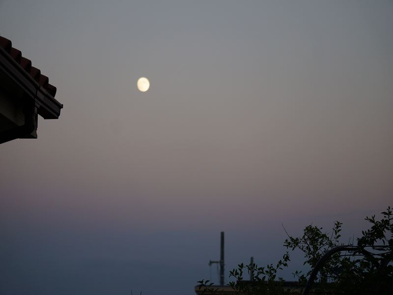 夕月