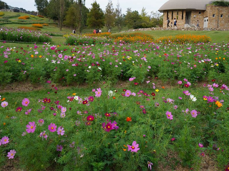 DSC01108_R.jpg
