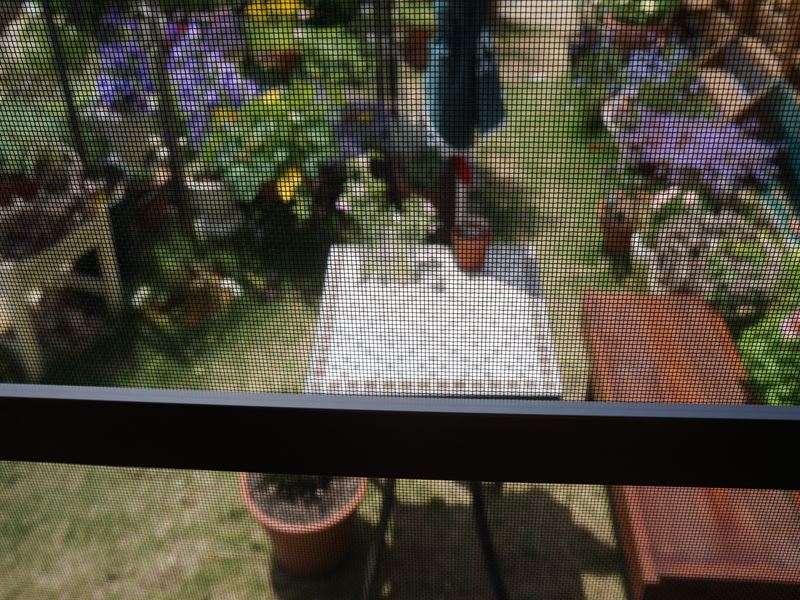ダイニングの網戸