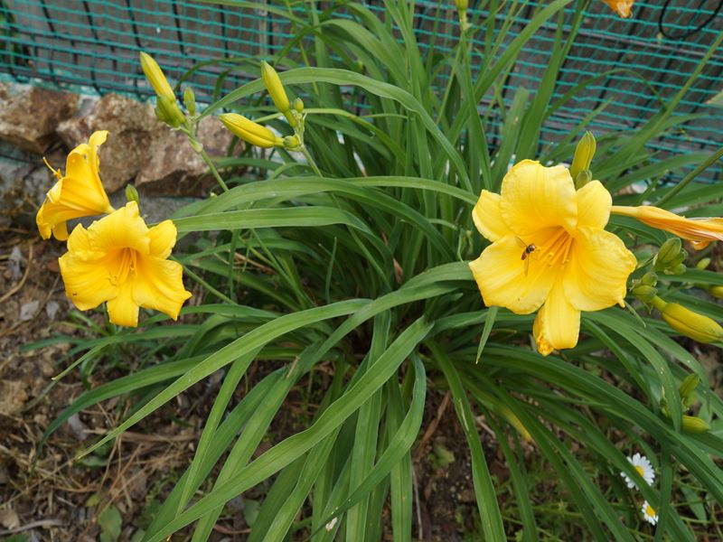 DSC01312_R.jpg