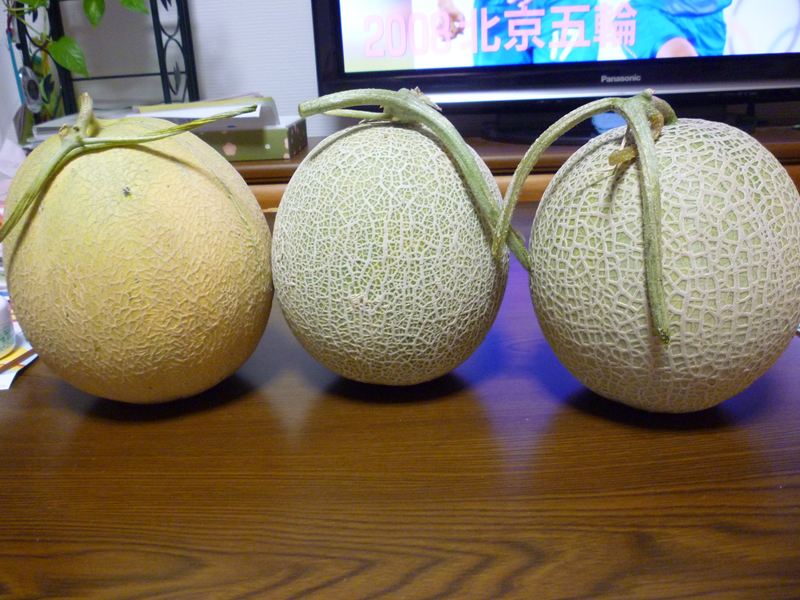 メロン3兄弟