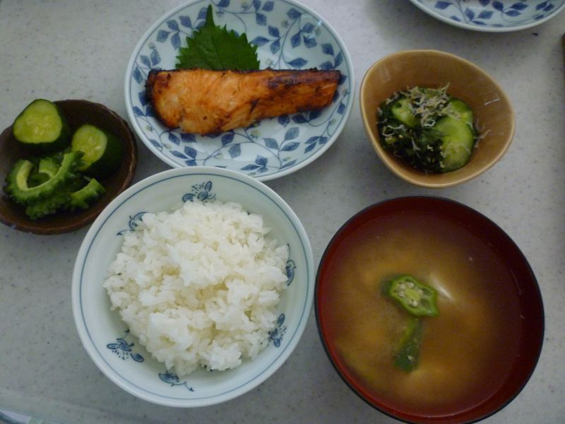 お昼御飯です!