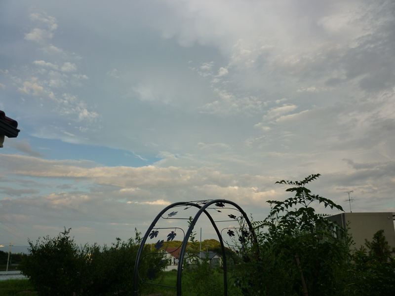 9月1日の夕方
