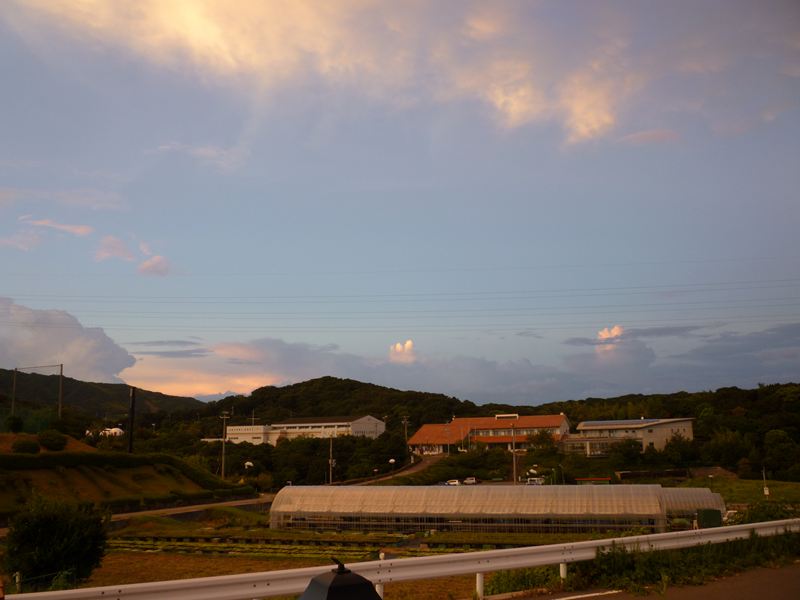P1000961_R.jpg