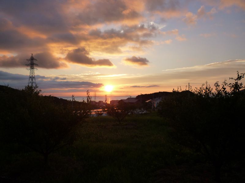P1000985_R.jpg
