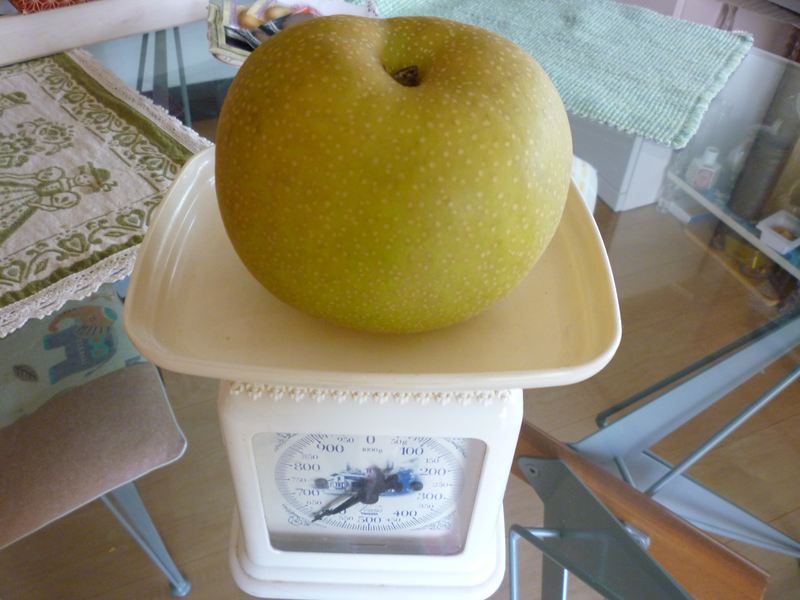 P1000992_R.jpg