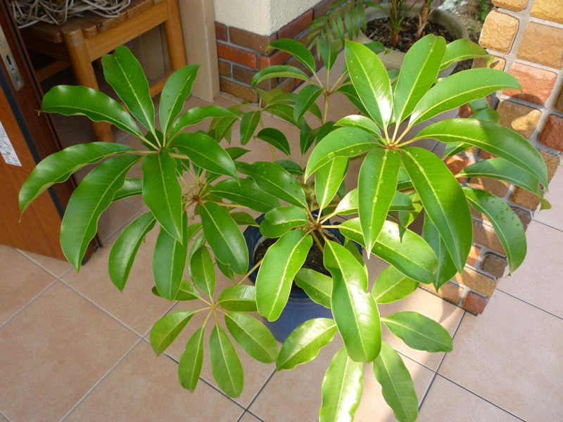 P1010040_R.jpg