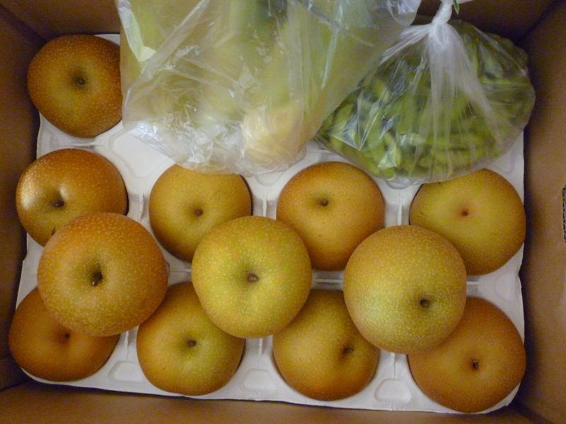 加賀梨