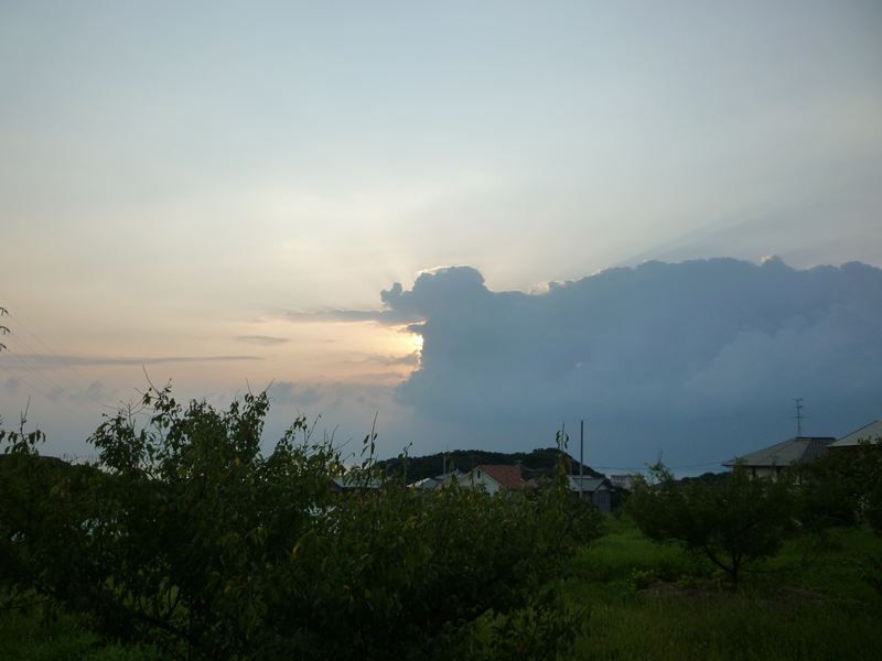 P1010068_R.jpg