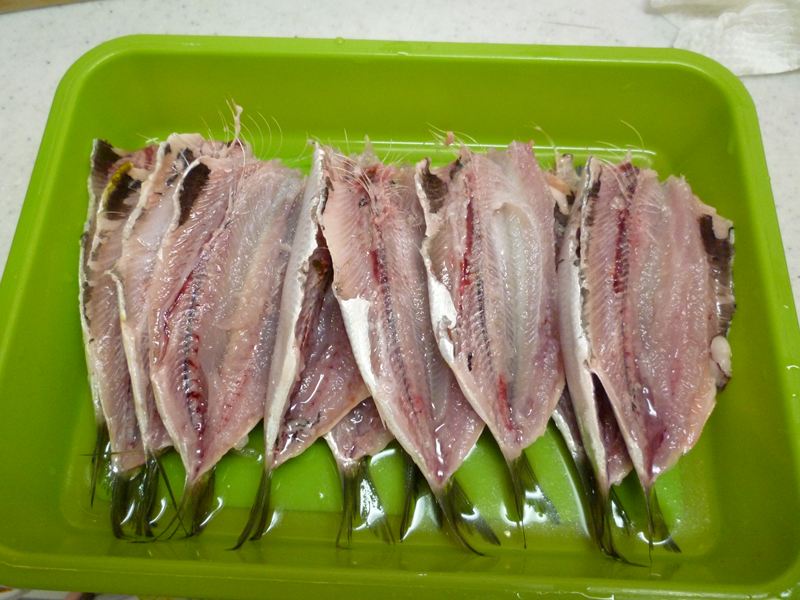 P1010092_R.jpg