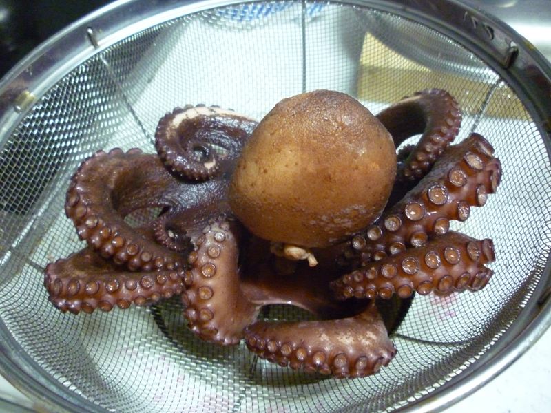 P1010095_R.jpg