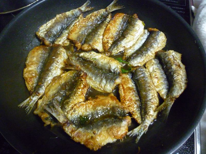 P1010097_R.jpg