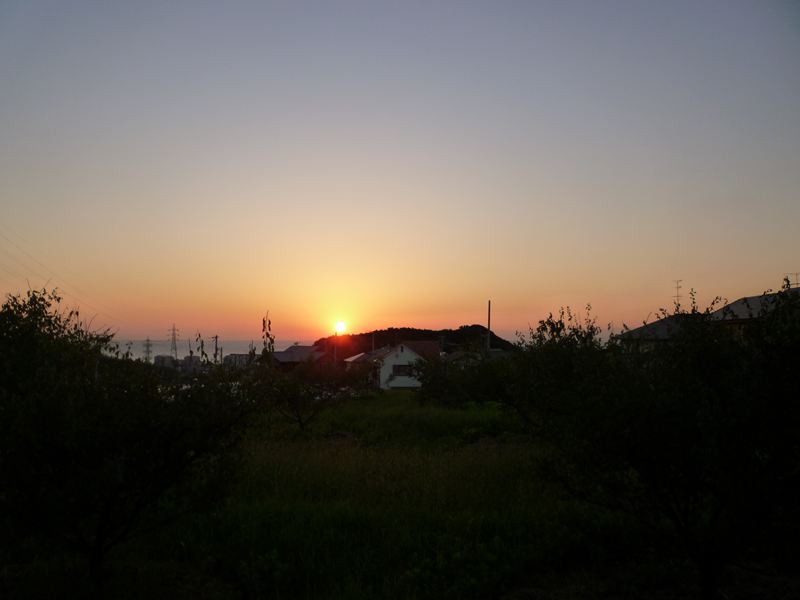 P1010130_R.jpg