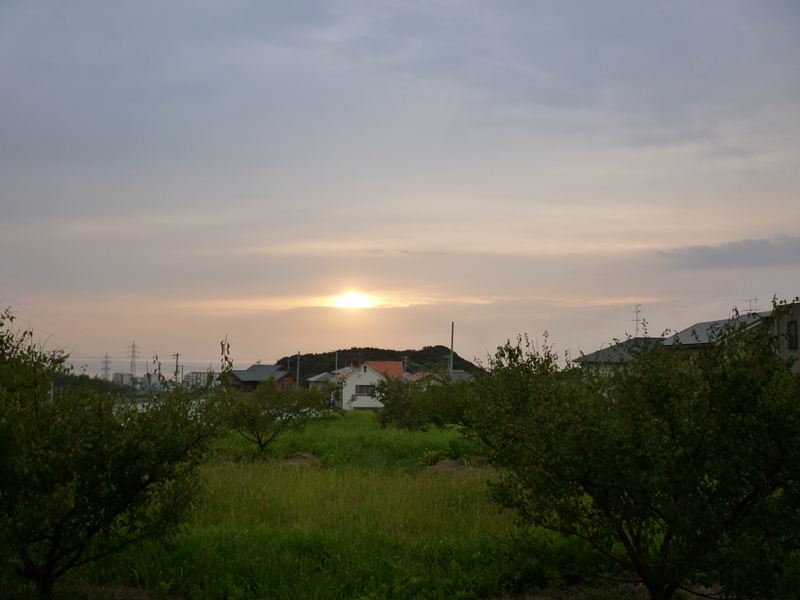 P1010150_R.jpg