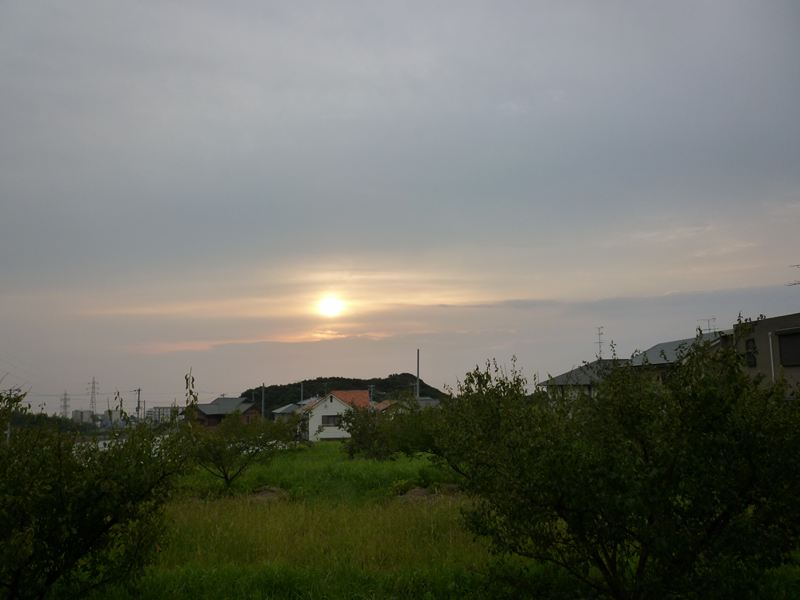 P1010152_R.jpg